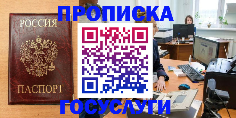 где прописаться в Каргополе